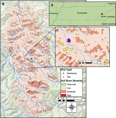 Short-Term Effects of Recent Fire on the Production and Translocation of Pyrogenic Carbon in Great Smoky Mountains National Park